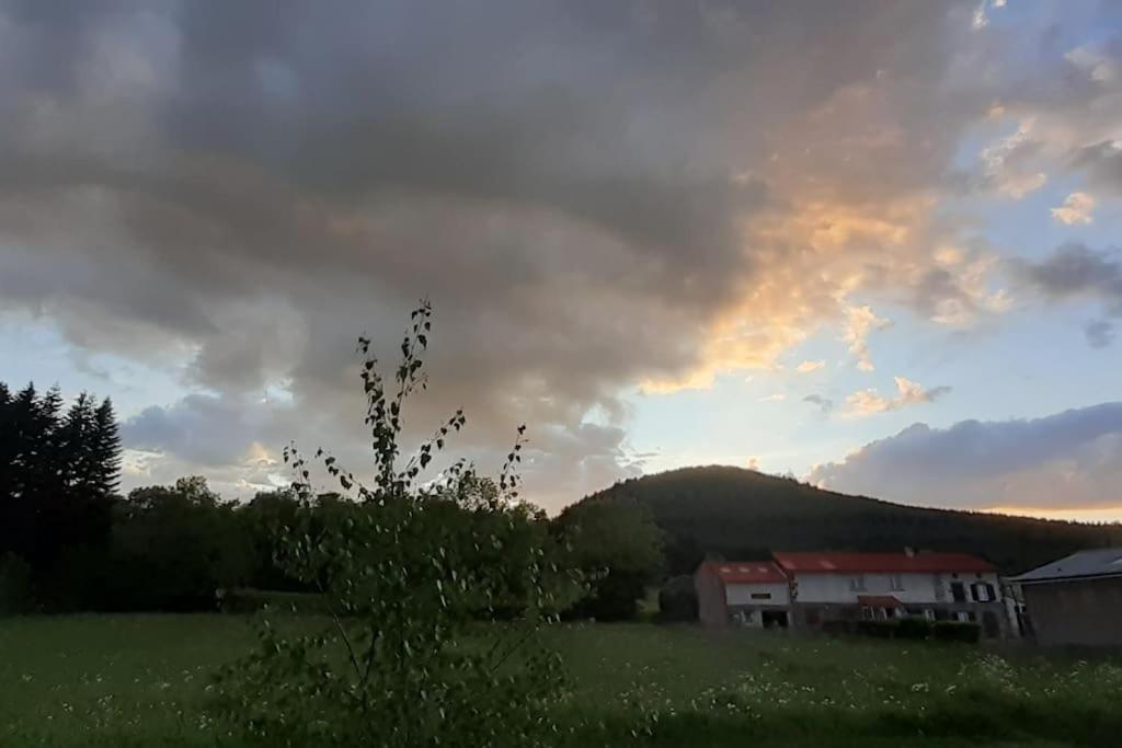 La Pierre Des Volcans Chaleureux Calme Champetre *